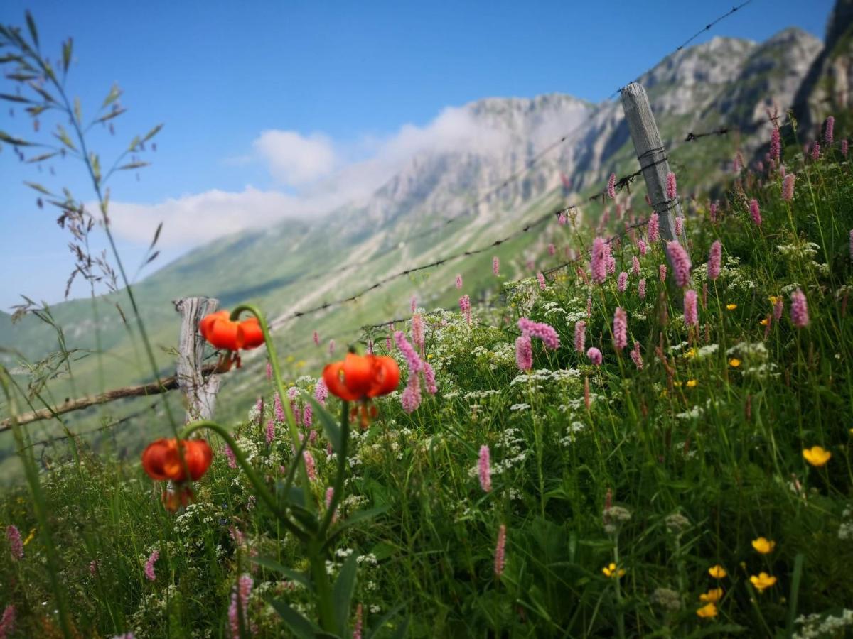 Mountain Lodge Forte Emilia Kobarid Zewnętrze zdjęcie