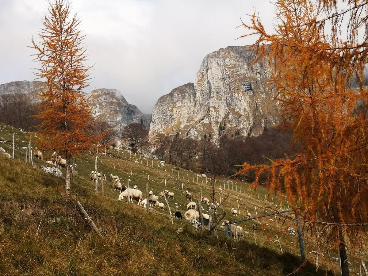 Mountain Lodge Forte Emilia Kobarid Zewnętrze zdjęcie