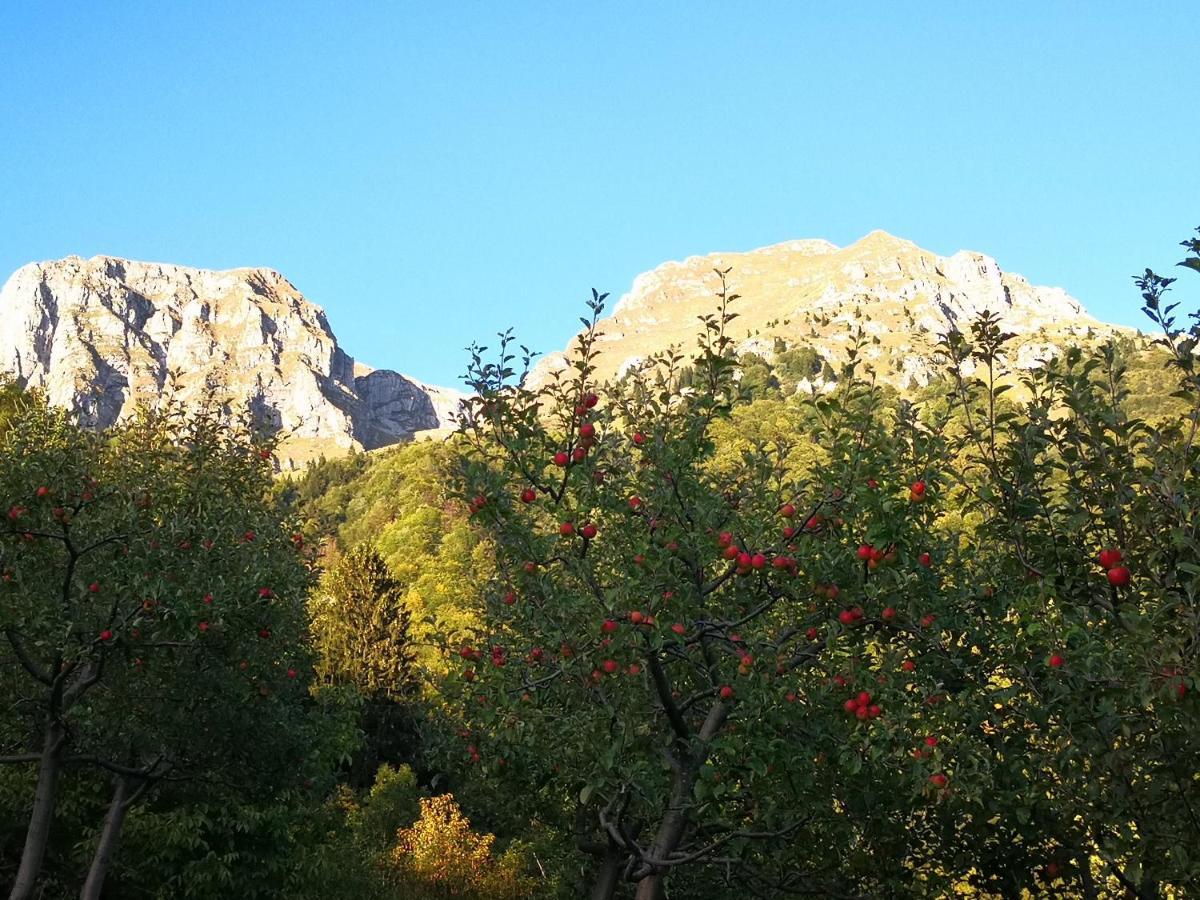 Mountain Lodge Forte Emilia Kobarid Zewnętrze zdjęcie