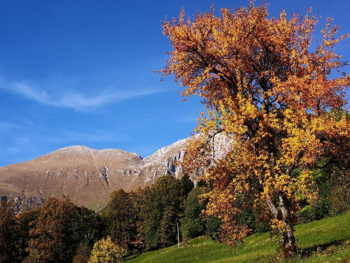 Mountain Lodge Forte Emilia Kobarid Zewnętrze zdjęcie