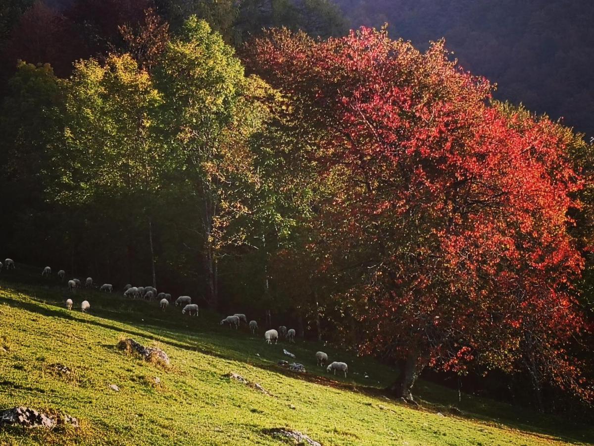 Mountain Lodge Forte Emilia Kobarid Zewnętrze zdjęcie