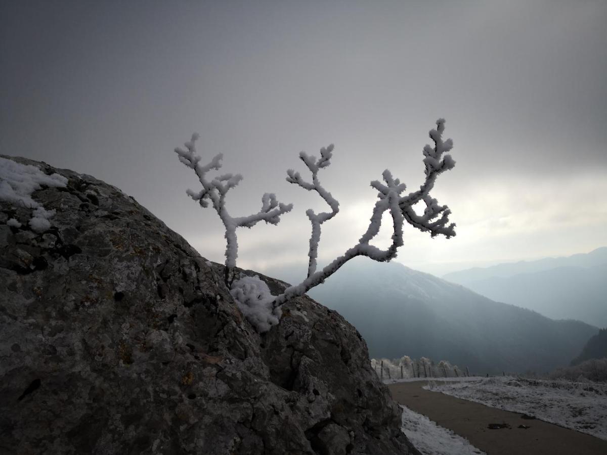 Mountain Lodge Forte Emilia Kobarid Zewnętrze zdjęcie