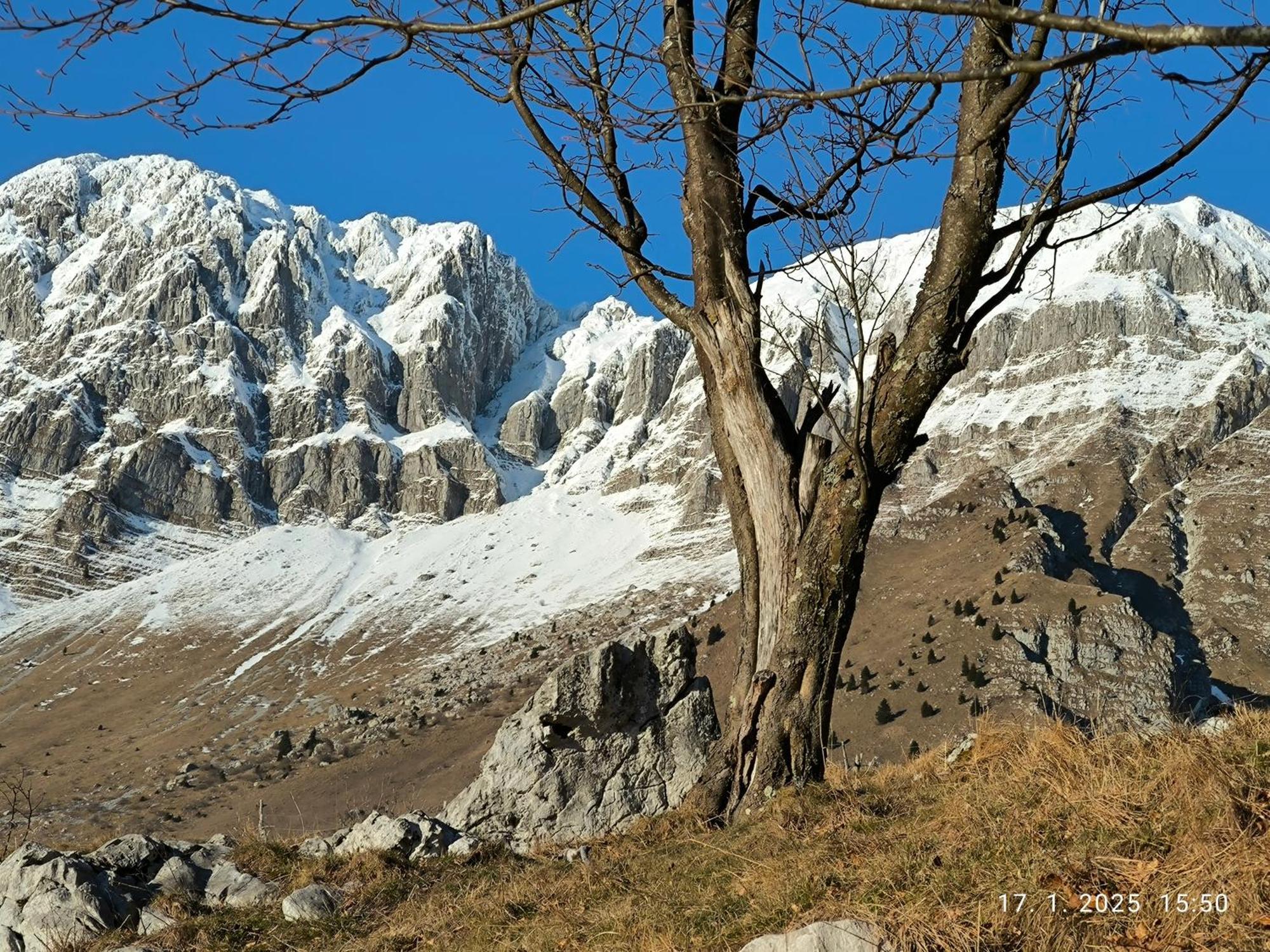 Mountain Lodge Forte Emilia Kobarid Zewnętrze zdjęcie